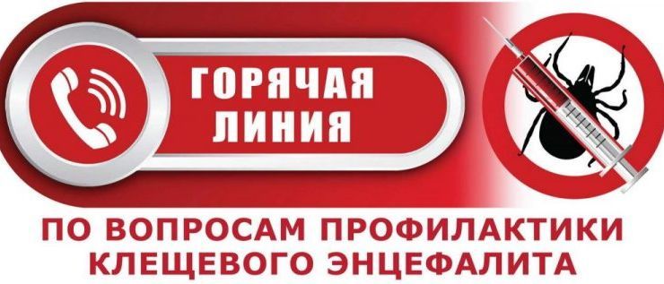 В Роспотребнадзоре запустят Всероссийскую «горячую линию» по вопросам профилактики клещевого энцефалита.